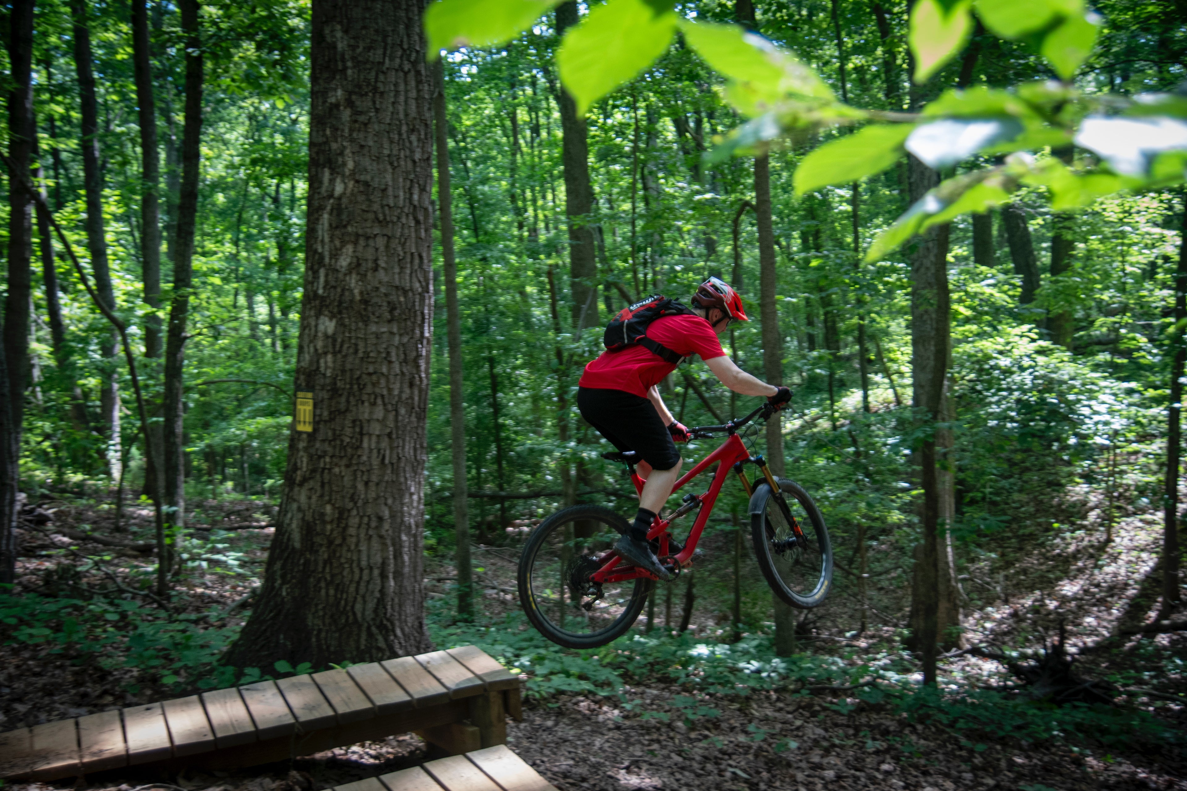 Person riding a mountain bike on a trail in a forest